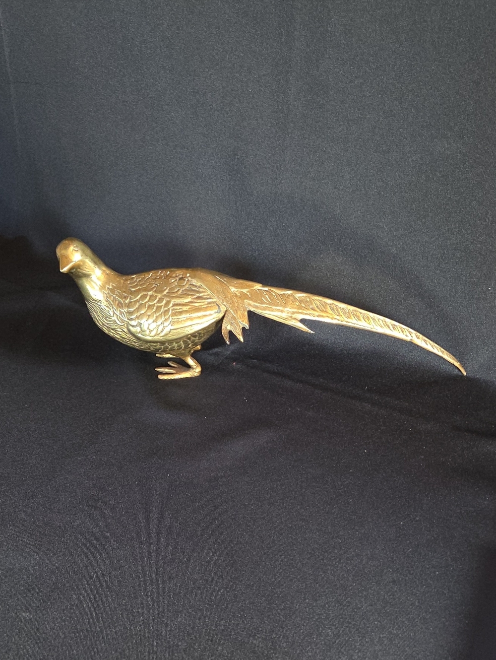 Brass Pheasant